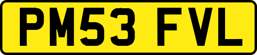 PM53FVL