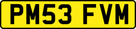 PM53FVM