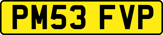 PM53FVP