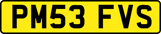 PM53FVS