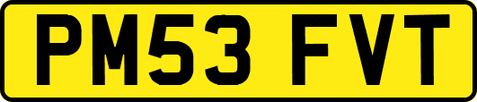 PM53FVT