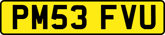 PM53FVU