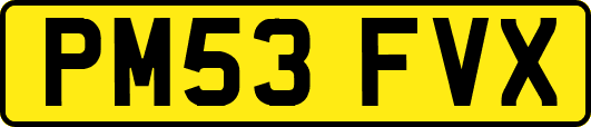PM53FVX