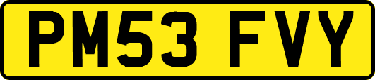 PM53FVY