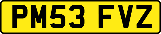 PM53FVZ