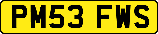 PM53FWS