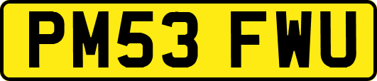 PM53FWU