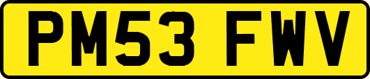 PM53FWV