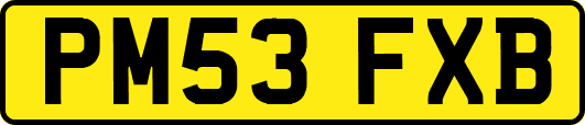 PM53FXB