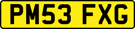 PM53FXG
