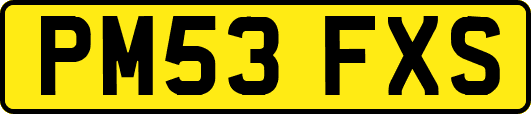 PM53FXS
