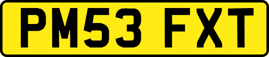 PM53FXT
