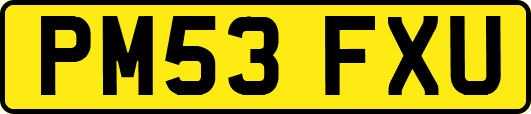 PM53FXU
