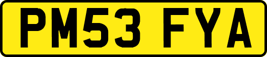 PM53FYA
