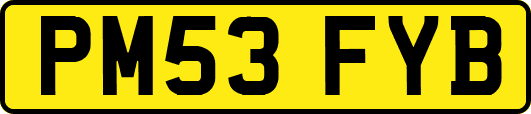 PM53FYB