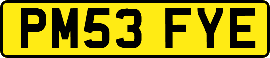 PM53FYE