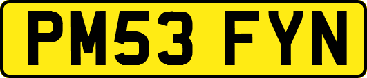 PM53FYN