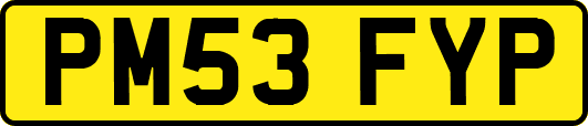 PM53FYP