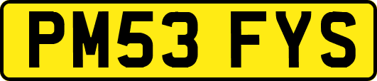 PM53FYS