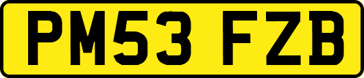 PM53FZB