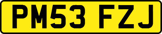 PM53FZJ