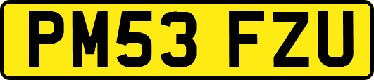 PM53FZU