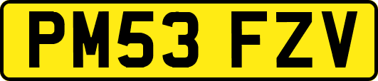 PM53FZV