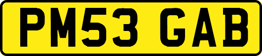 PM53GAB