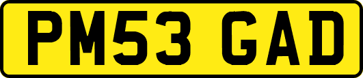 PM53GAD