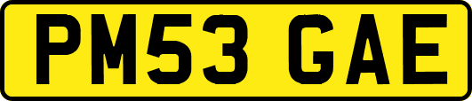 PM53GAE
