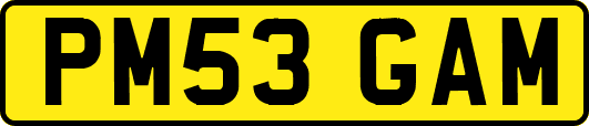 PM53GAM