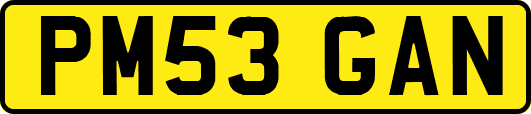 PM53GAN