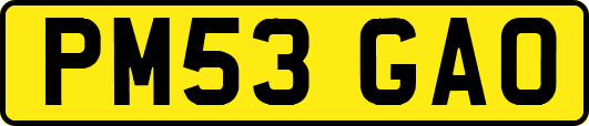 PM53GAO