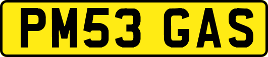 PM53GAS