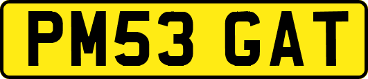 PM53GAT