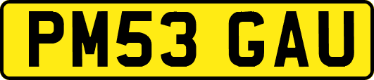 PM53GAU