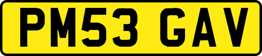 PM53GAV
