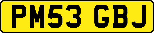 PM53GBJ