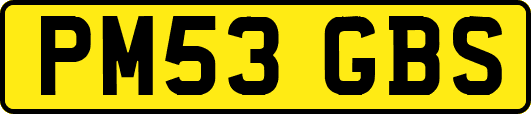 PM53GBS