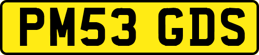 PM53GDS