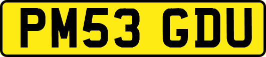 PM53GDU