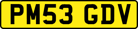 PM53GDV