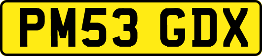 PM53GDX