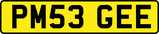 PM53GEE