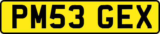 PM53GEX