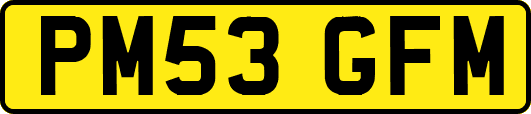 PM53GFM