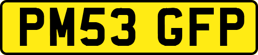 PM53GFP