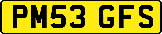 PM53GFS