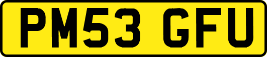 PM53GFU
