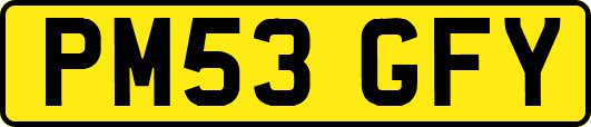 PM53GFY